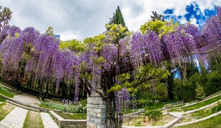 Διομήδειος Βοτανικός Κήπος